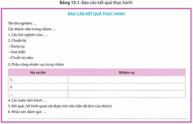 Báo cáo kết quả thực hành theo bảng 15.1