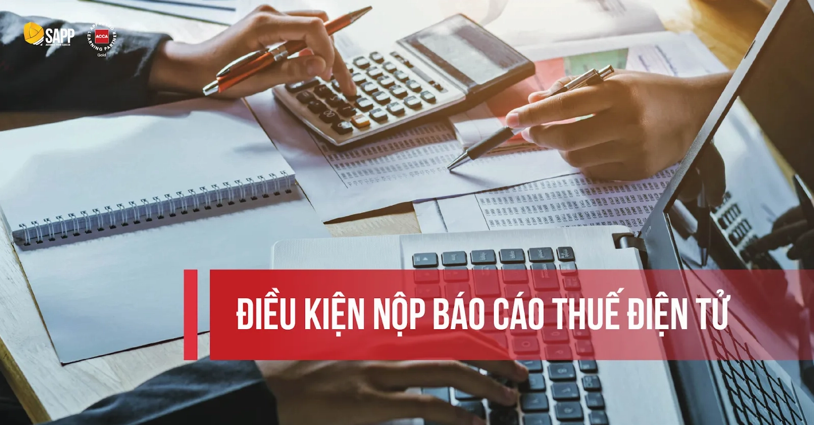 Báo cáo thuế điện tử 2