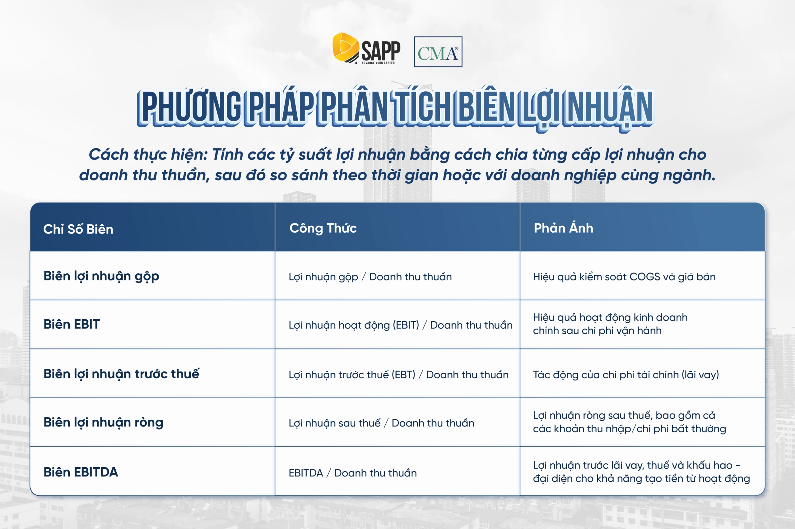 Biểu đồ minh họa các chỉ số tài chính trong báo cáo phân tích