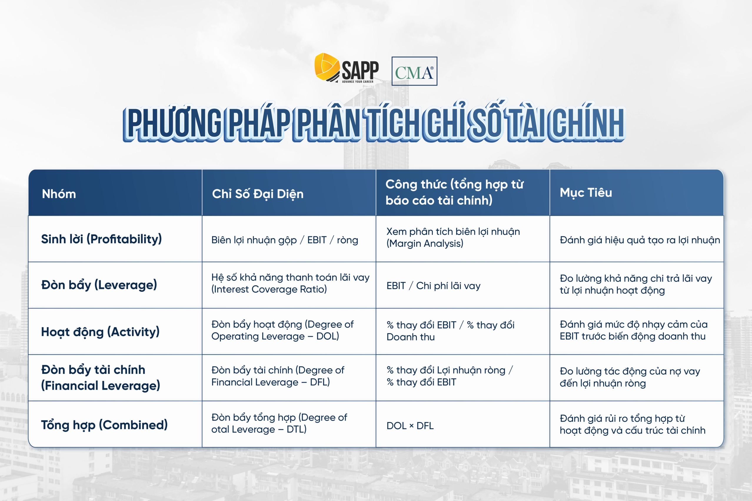 Biểu đồ phân tích các tỷ số tài chính trong báo cáo phân tích