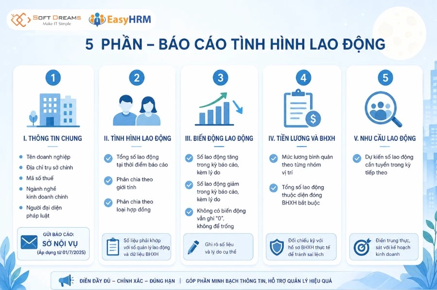 Các thông tin cần điền trong mẫu báo cáo tình hình sử dụng lao động