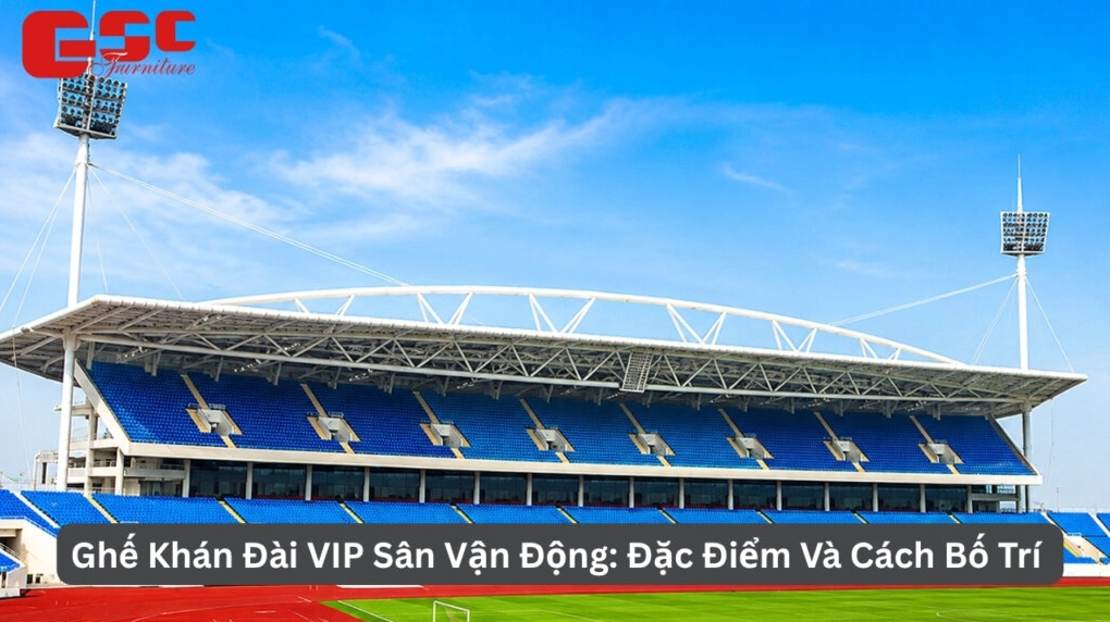 Ghế khán đài Vip: Đặc điểm và cách bố trí
