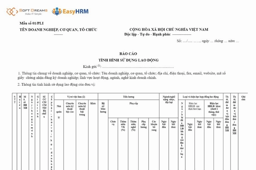 Mẫu báo cáo 01/PLI phổ biến và cách lập chi tiết