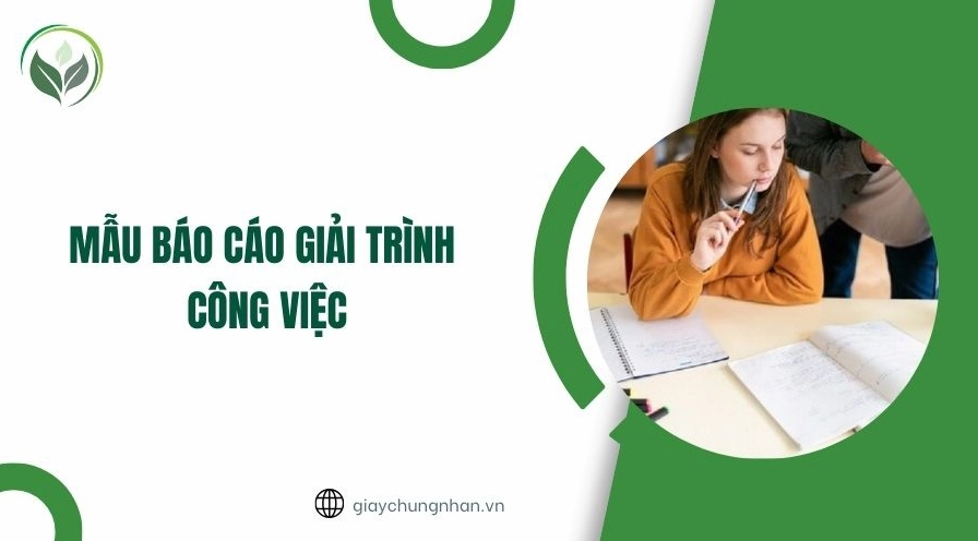 Mẫu báo cáo giải trình công việc chi tiết