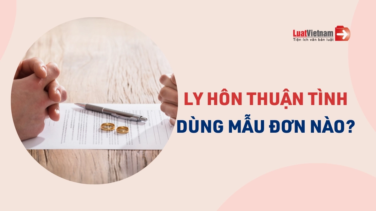 Mẫu đơn ly hôn thuận tình và các mục cần điền