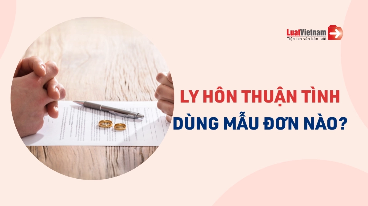 Mẫu đơn ly hôn thuận tình