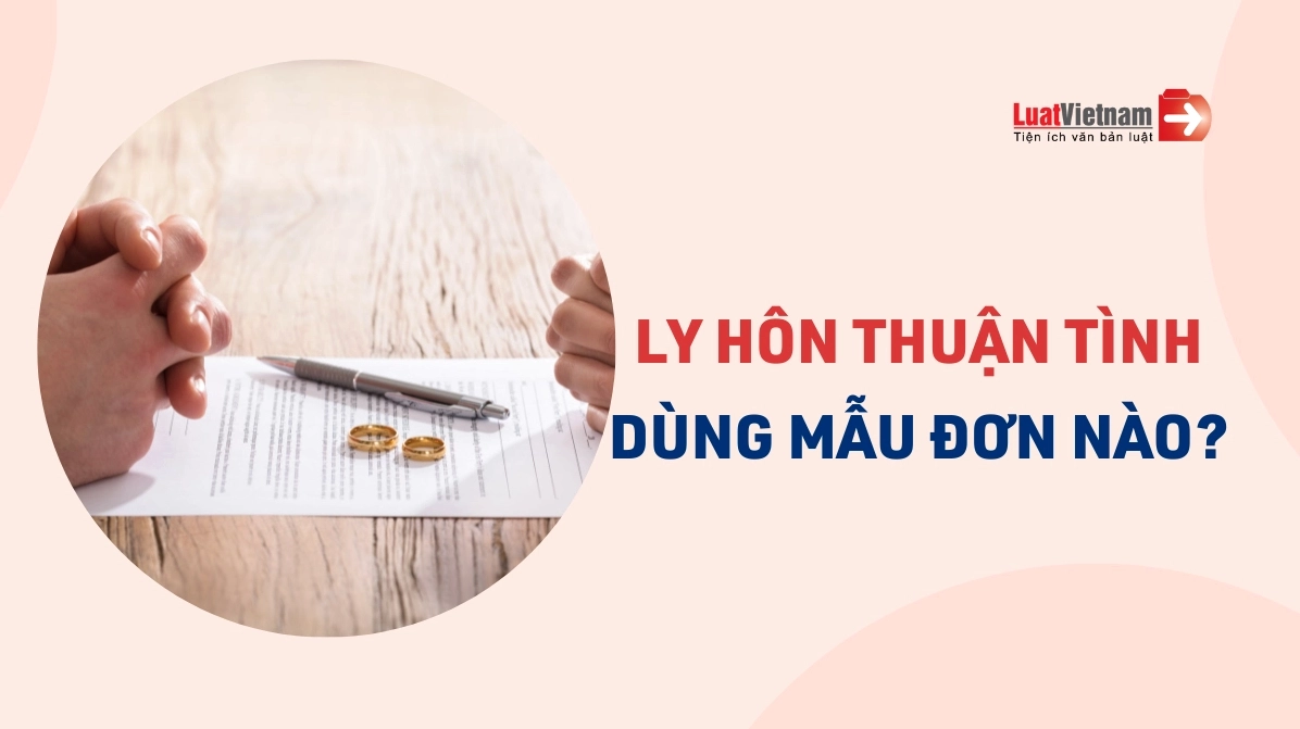 Mẫu đơn xin ly hôn đồng thuận đầy đủ
