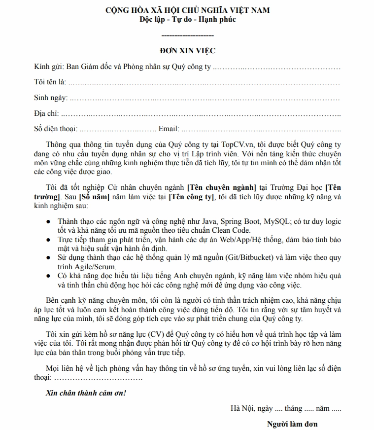 Mẫu đơn xin việc Lập trình viên