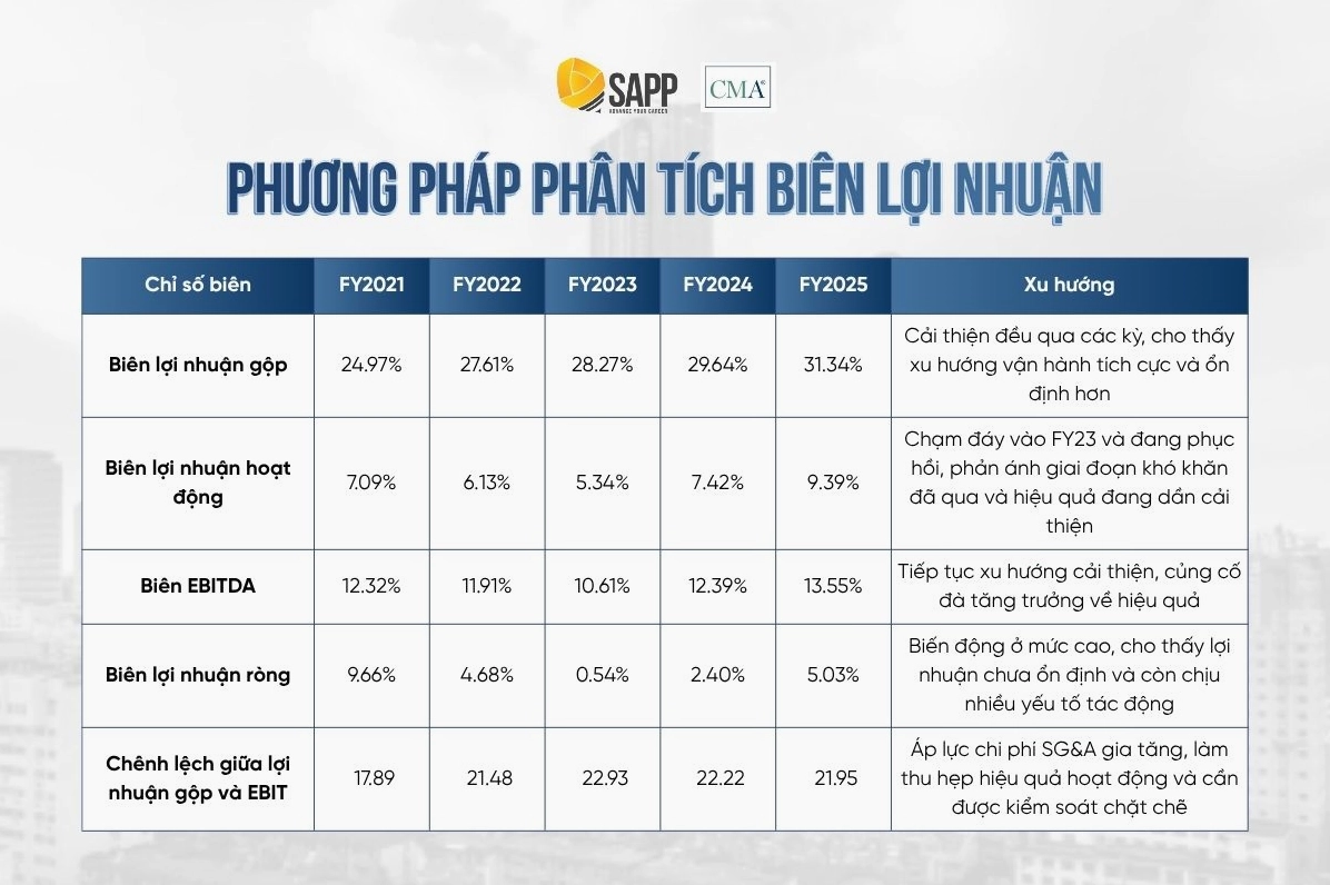 Minh họa phân tích biến lợi nhuận trong báo cáo phân tích