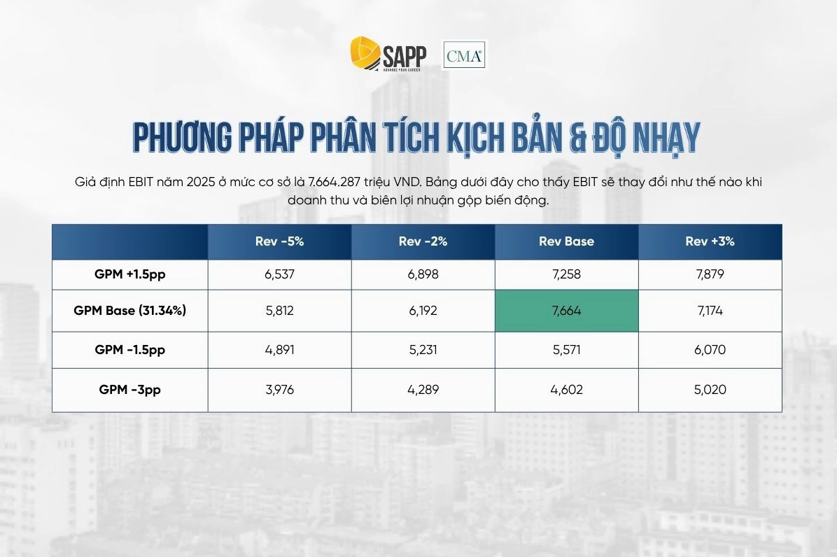 Minh họa phân tích kịch bản và độ nhạy trong báo cáo phân tích