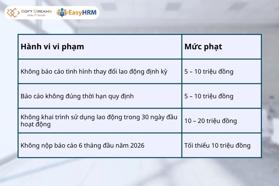 Mức phạt khi không nộp báo cáo lao động đúng hạn