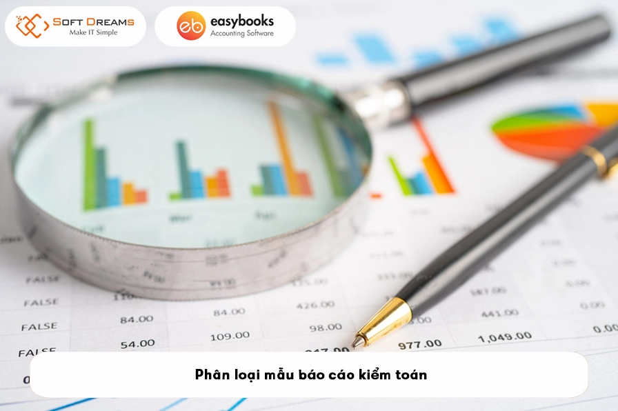 Phân loại mẫu báo cáo kiểm toán