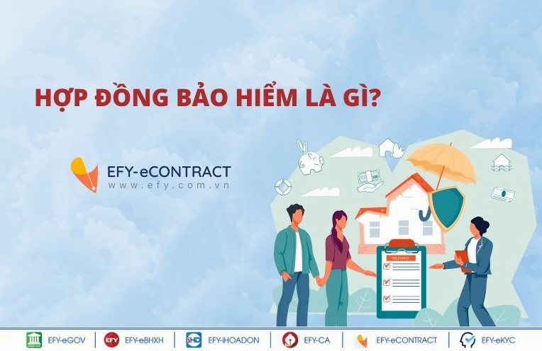Hợp đồng bảo hiểm là gì?