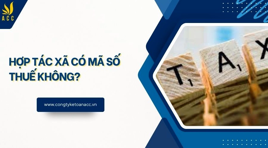 Hợp tác xã có mã số thuế không?