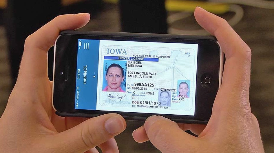 Hướng dẫn cấp đổi bằng lái xe Pháp sang Việt Nam
