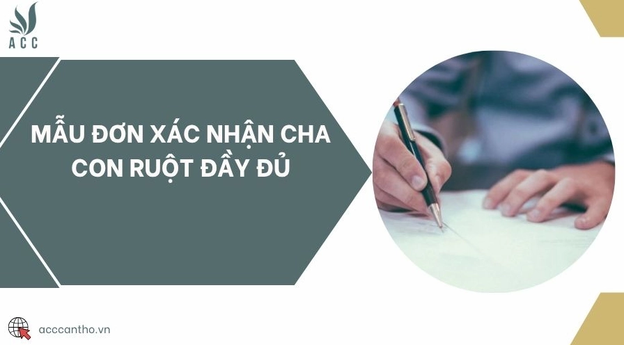 Mẫu đơn xác nhận cha con ruột đầy đủ theo quy định mới nhất.