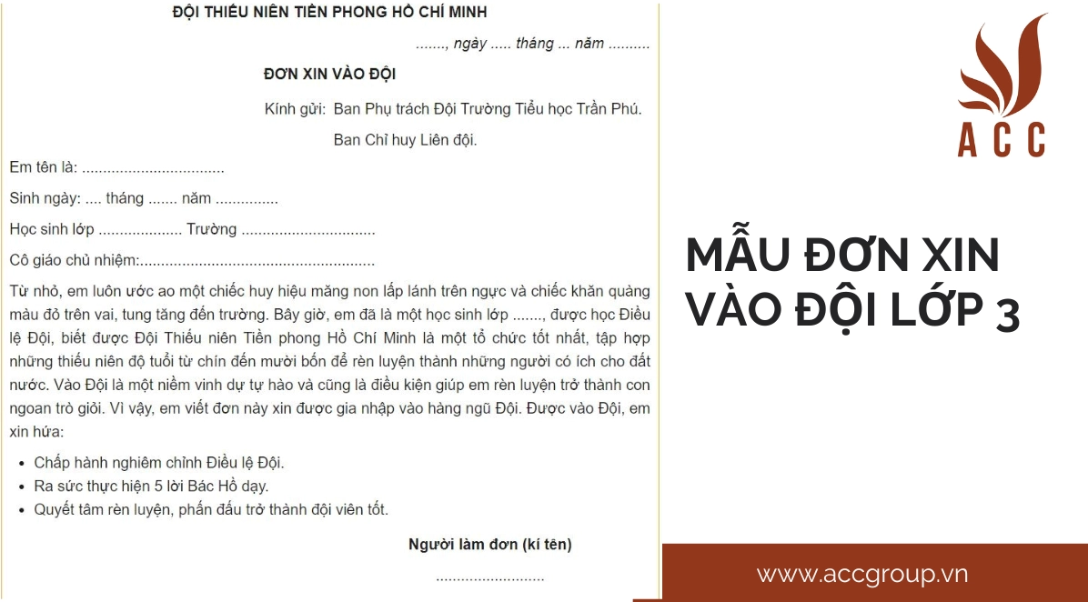 Mẫu đơn xin vào đội lớp 3