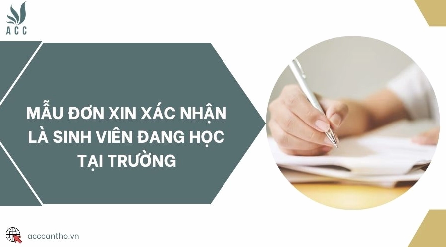 Mẫu đơn xin xác nhận là sinh viên đang học tại trường