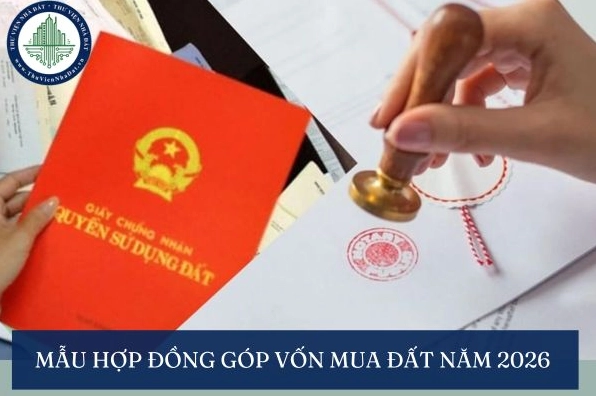 Mẫu hợp đồng góp vốn mua đất năm 2026 là gì?