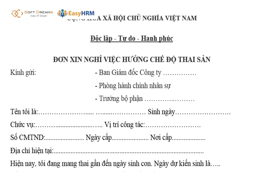 Những nội dung cần có trong đơn xin nghỉ thai sản