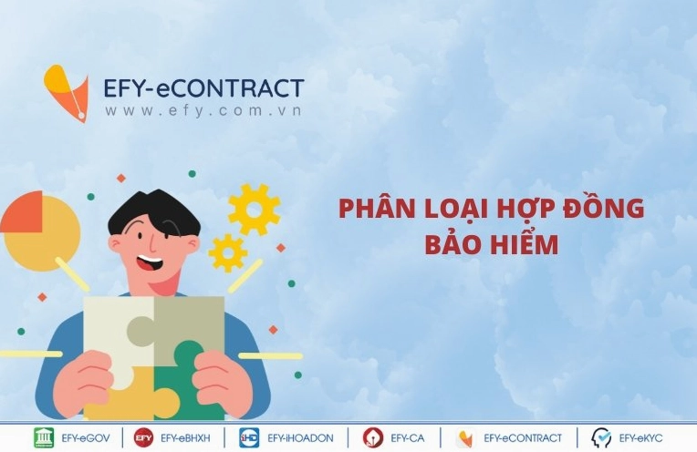 Phân loại hợp đồng bảo hiểm
