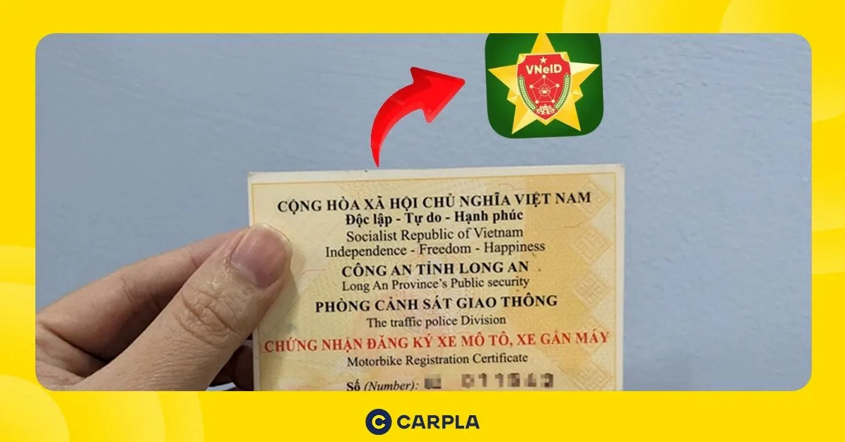 Tra cứu phạt nguội và các dịch vụ liên quan
